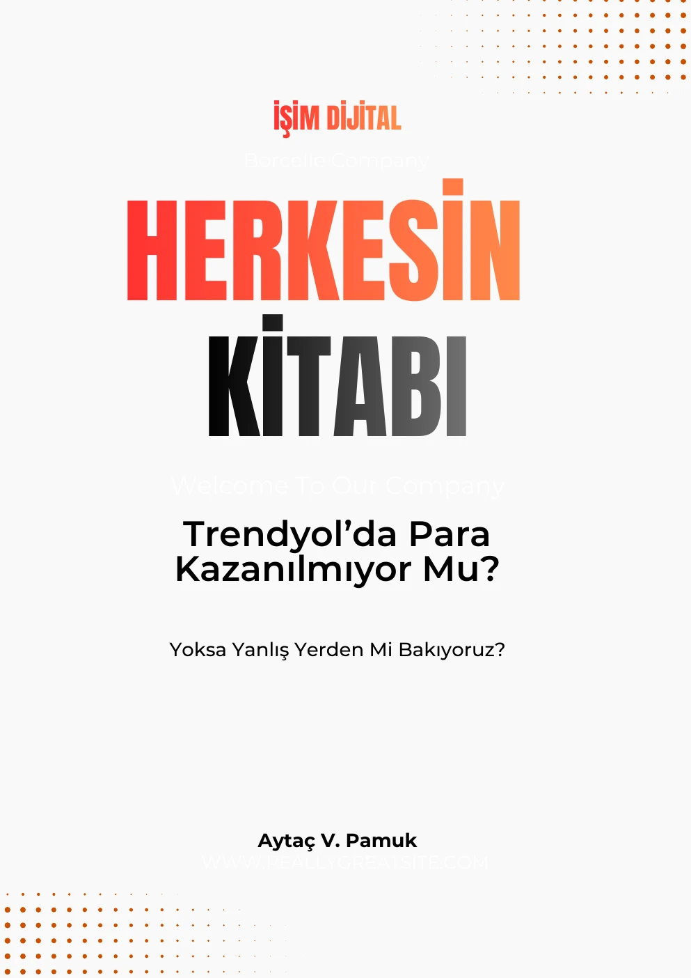 Herkesin Kitabı: Trendyol'da Para Kazanılmıyor Mu? kapağı
